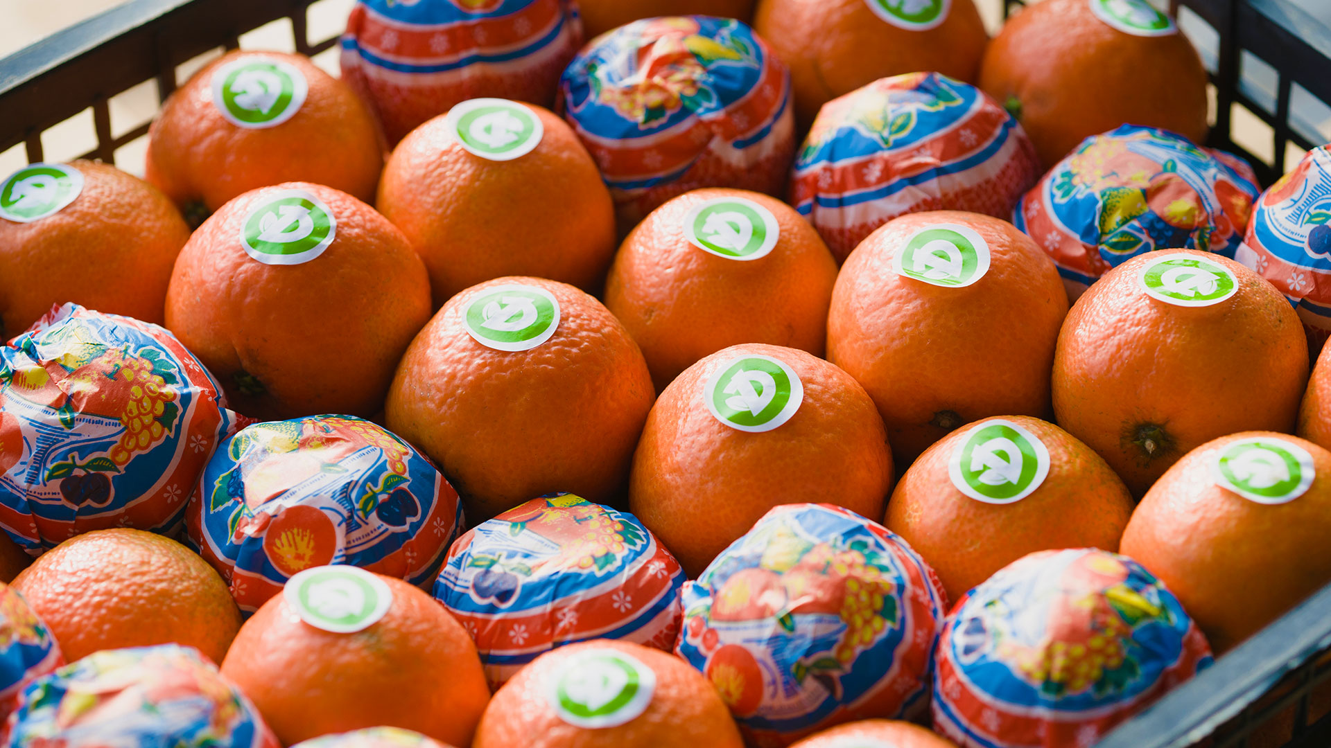 Mandarini forniti all'ingrosso per ristoranti, GDO e Horeca | Due Erre